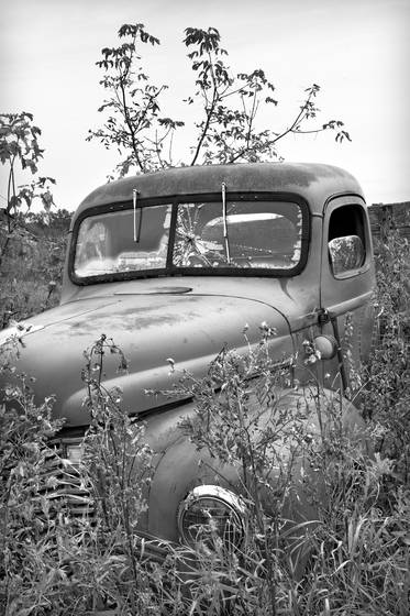 Untitled_12
