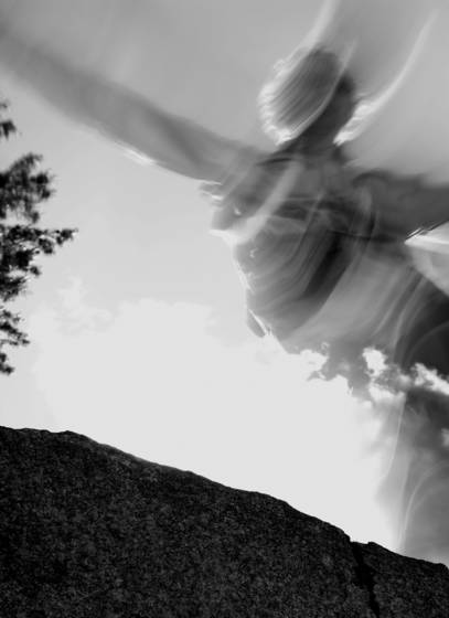 Fly