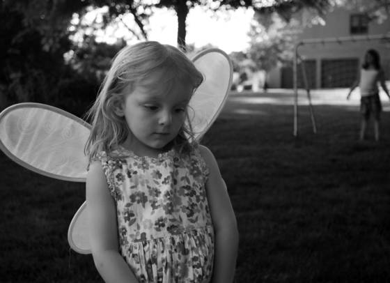 Fairy