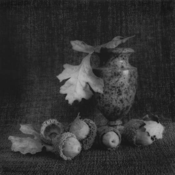 Still_life_with_acorns