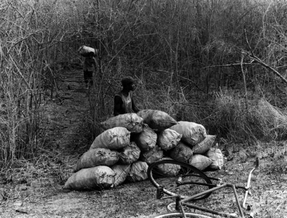 Charcoal_makers