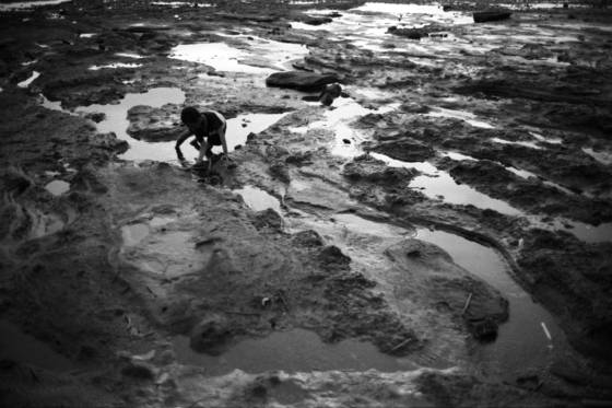 Searching_for_fish