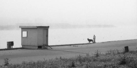In_the_fog