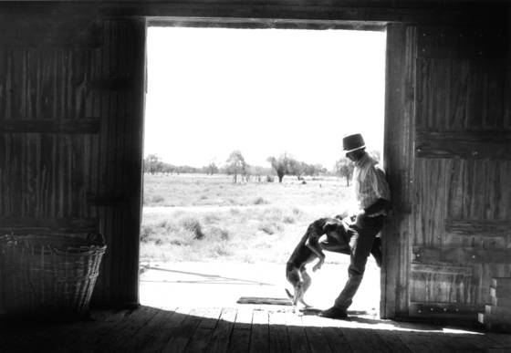 Old_faithful