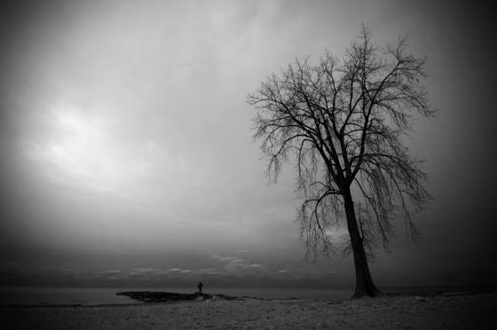 Sentinel_tree