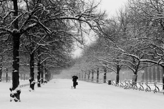 Snowy_munich_moment