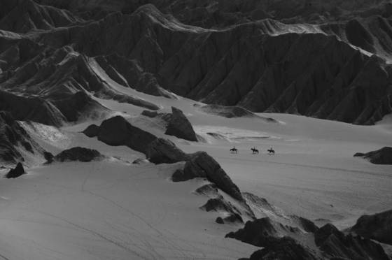 Desert_ride