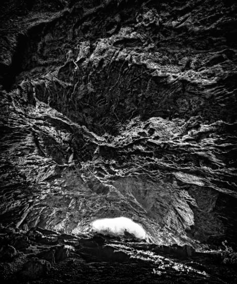 Petrified_3