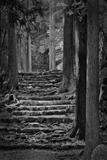 Temple_path