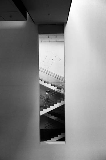 Moma