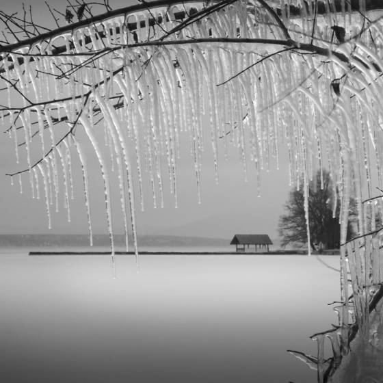 Icicles