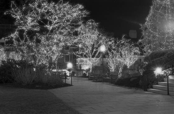 Leaving_palmer_square_at_christmastime