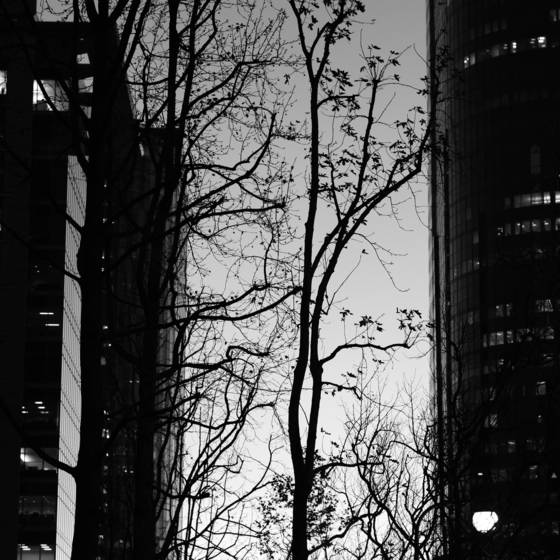 Urban_dusk
