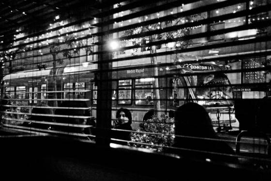 Through_the_blinds