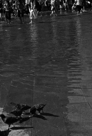 Crossing_piazza_san_marco