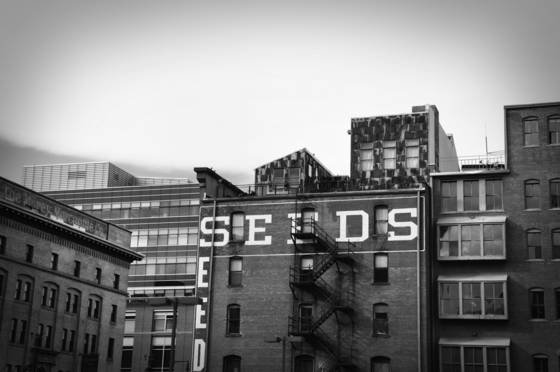 Seeds_building_two