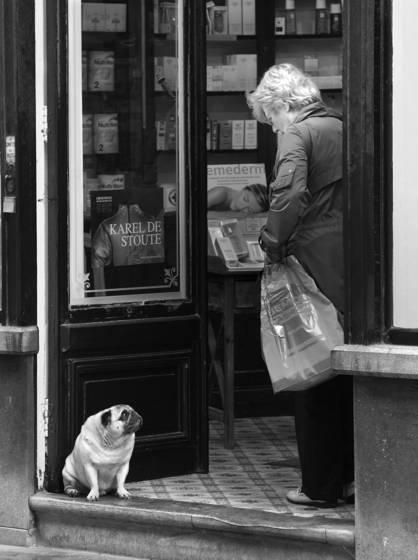 Woman_and_pug_on_threshhold