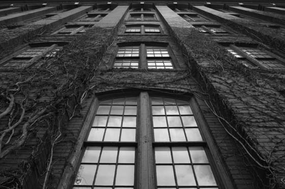 City_windows