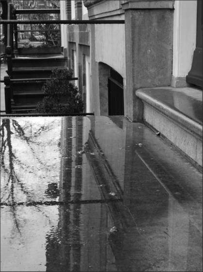 Rain
