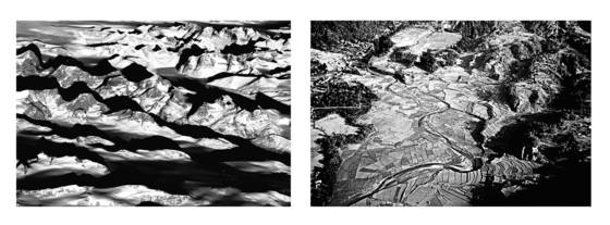Diptych_3_-_fertility