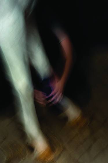Armson_horse_leg