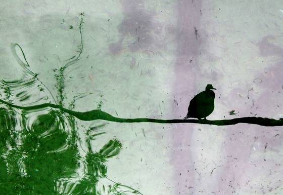Bird_on_wire