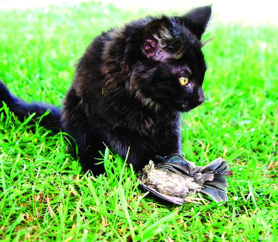 Untitled_6