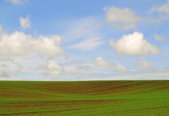 Idaho_field