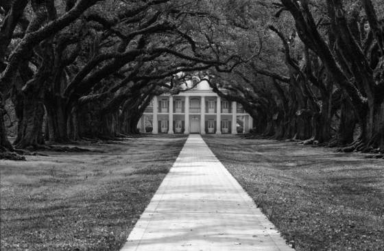 Oak_alley