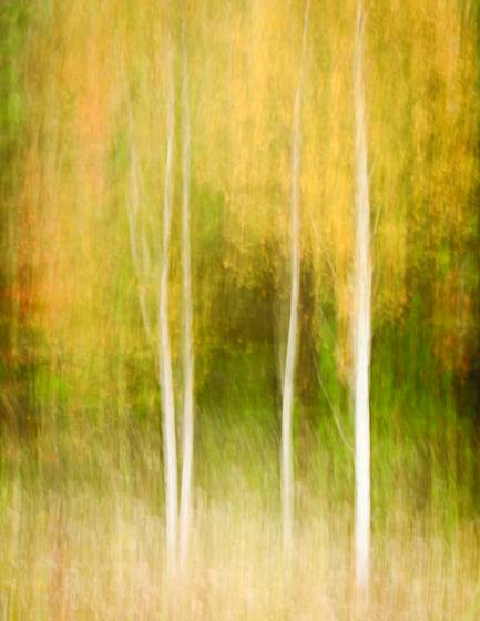 Autumn_impression