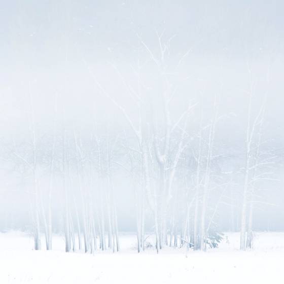 Winter_color