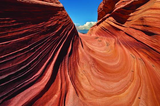 Swelling_wave