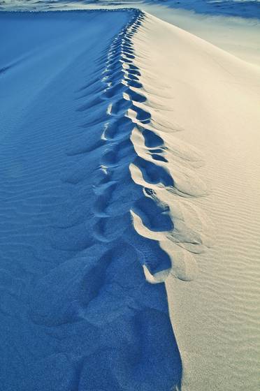 Bruno_dunes