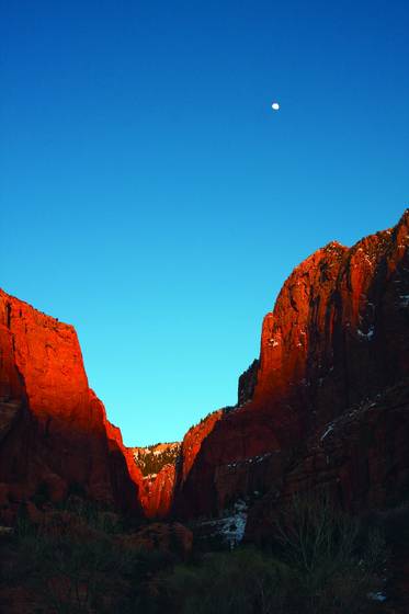 Zion_national_park