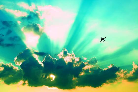 Flight