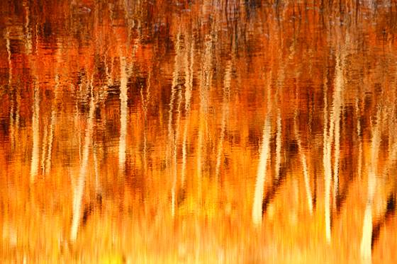 Fall