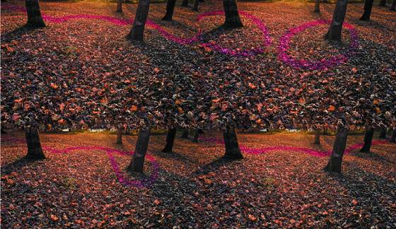 Four_paths_to___