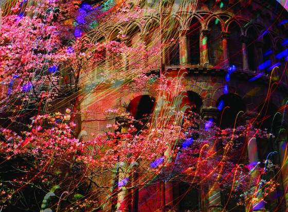 Spring_breeze