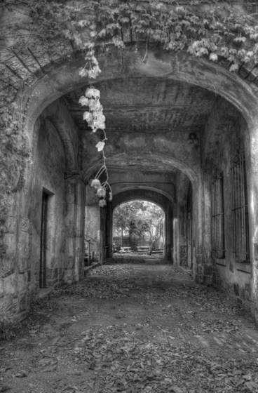 Kings_point_park