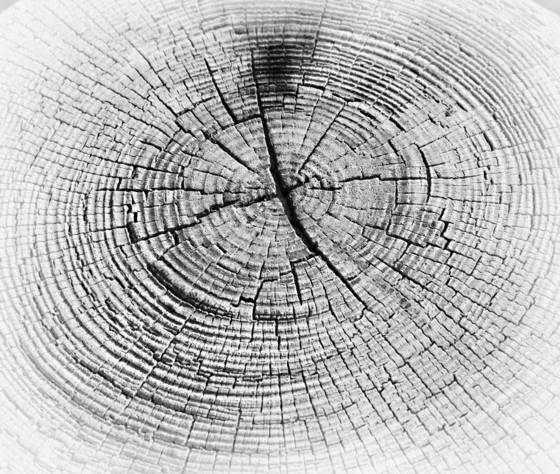 Rings_of_time
