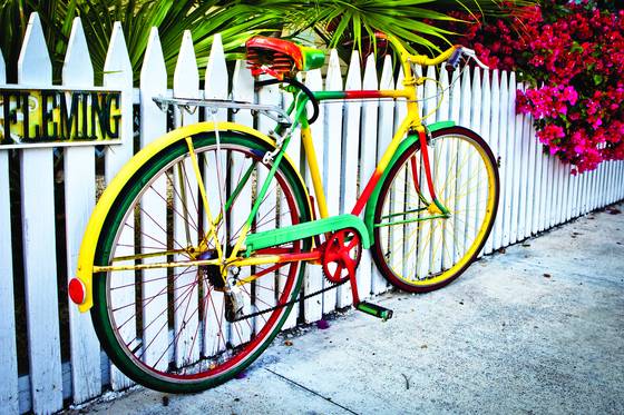 Flemings_bike