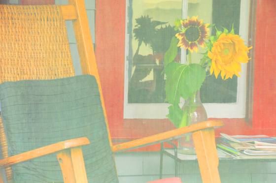 Screened_flowers