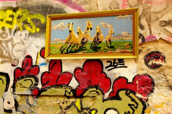 Wild_horses
