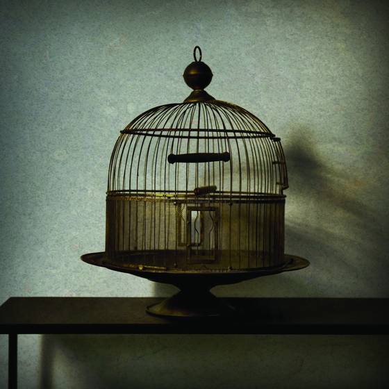 Free_at_last