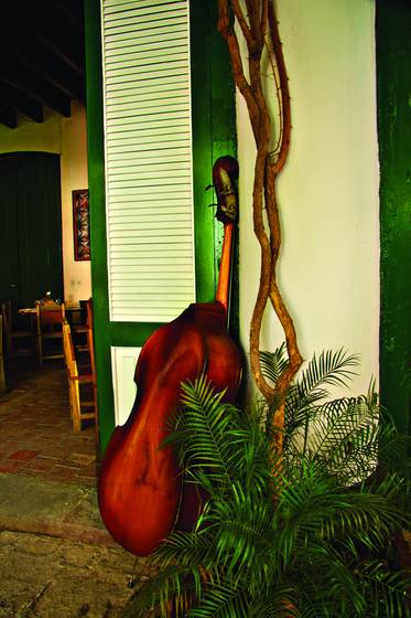 Double_bass_against_green_door