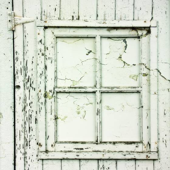 Window