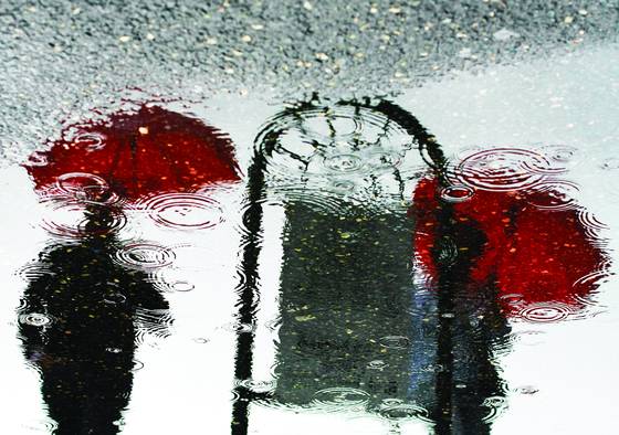 Umbrellas