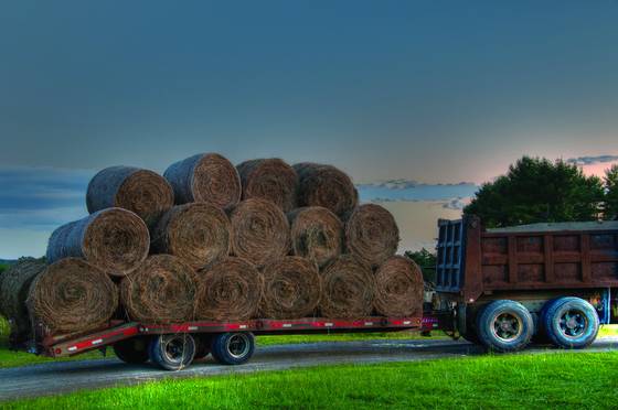 Hay_bales