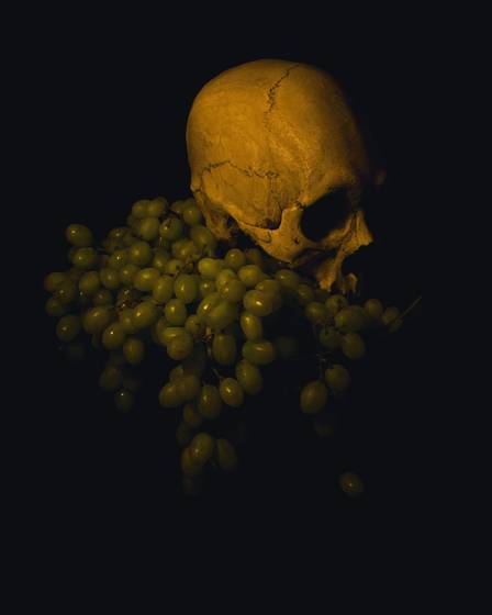 Vindemio