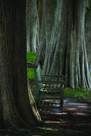 Cypress_bench